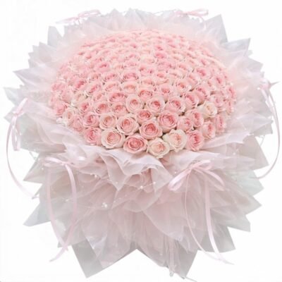 Blush Delight