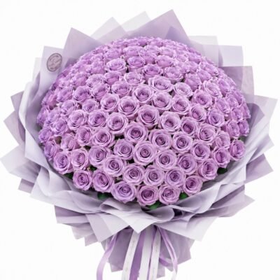 Violet Haze Bloom