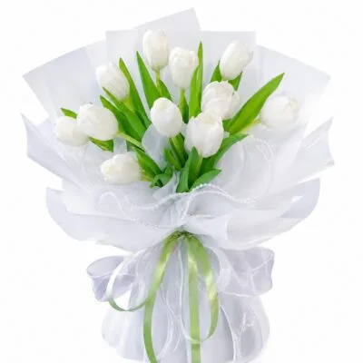 Pristine Affection