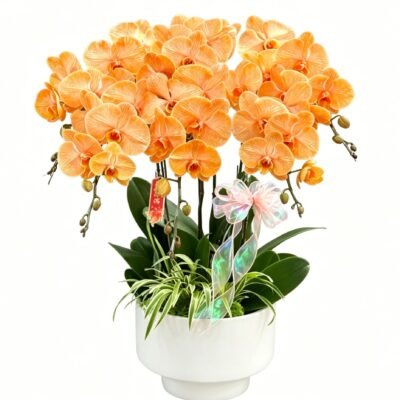 Heartfelt Bloom