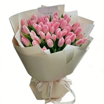 Rainbow Tulips