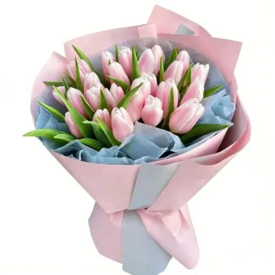 Majestic Tulips