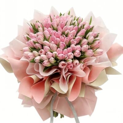 Velvet Dream: Premium Pink Tulip Masterpiece