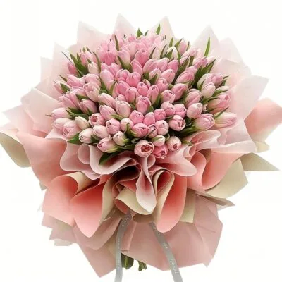 Velvet Dream: Premium Pink Tulip Masterpiece