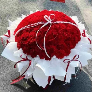 Carnation Breeze