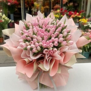 Pink dream