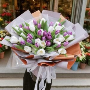Sweet tulip