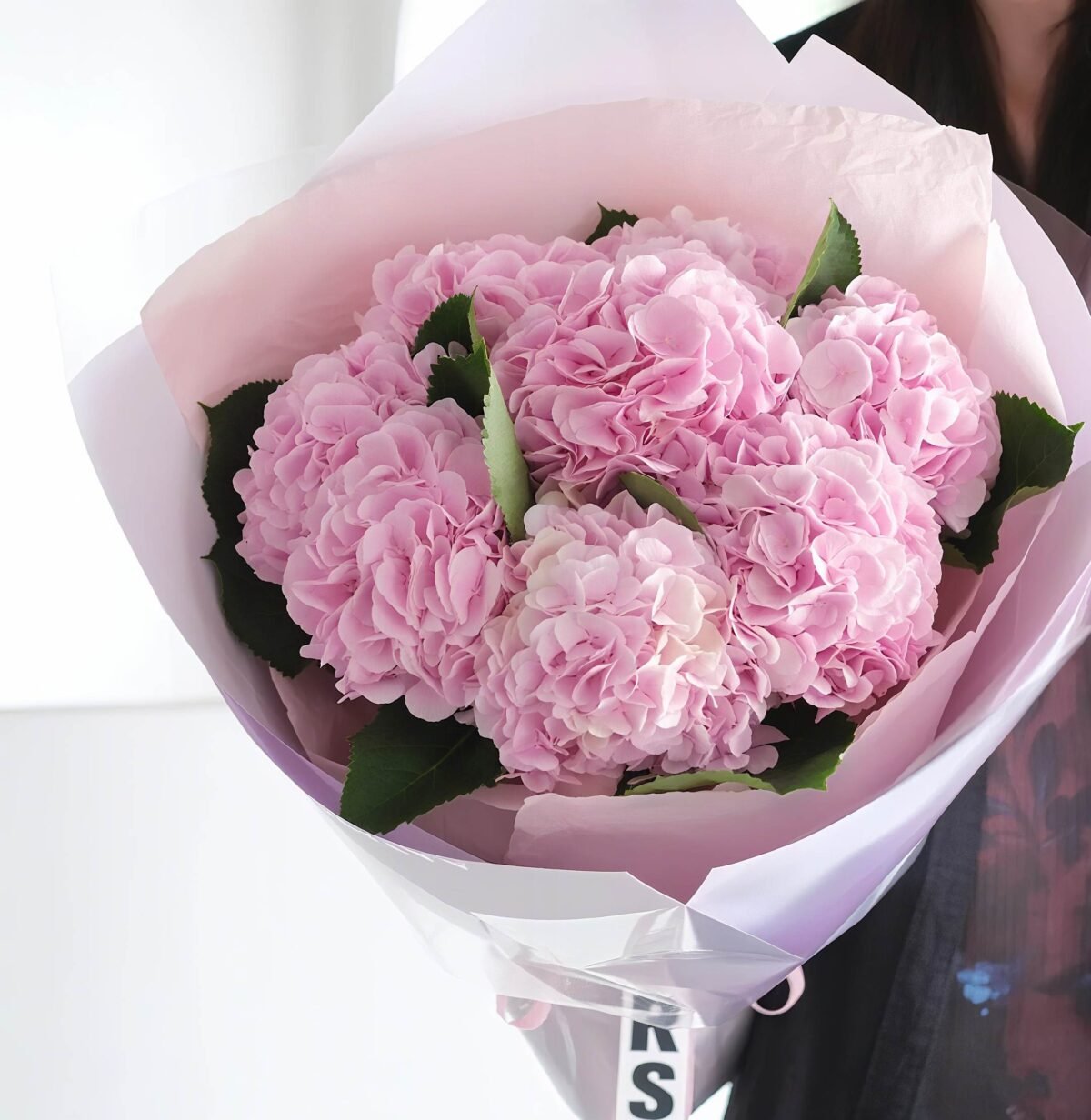 Hope Petal