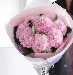 Hope Petal