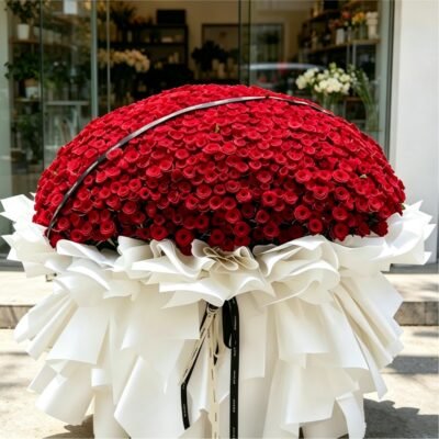 Rose Love