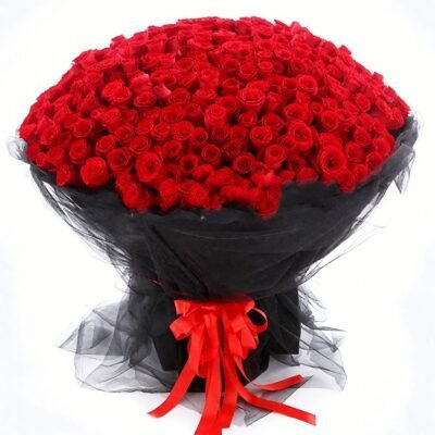 Sweet companionship （red）