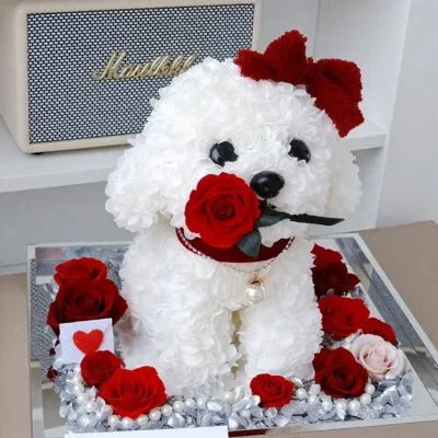 Teddy Dog（一）