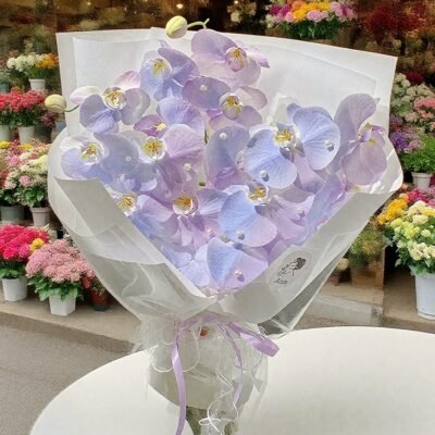 Illuminate my heart (三）