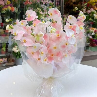 Illuminate my heart (五）