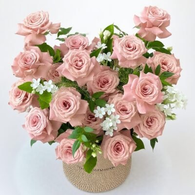 Gossamer Affection （二）